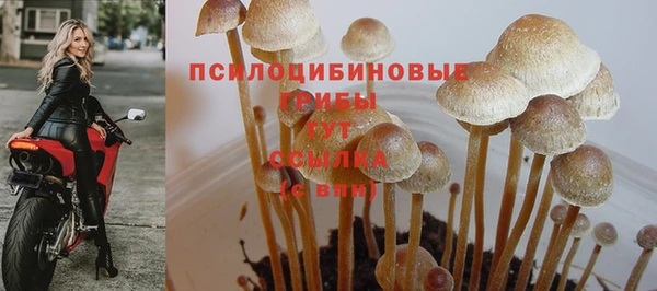 гашиш Горно-Алтайск
