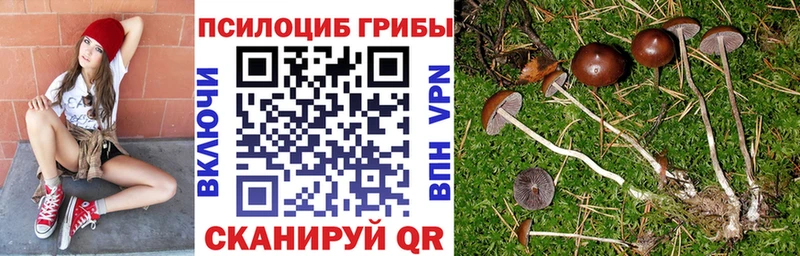 Псилоцибиновые грибы ЛСД Малоярославец