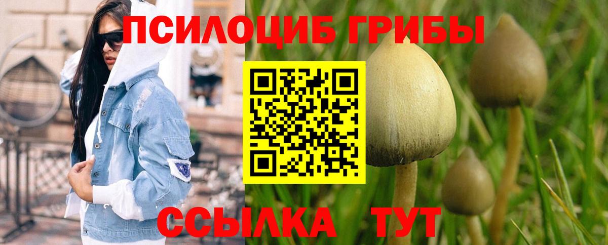 Псилоцибиновые грибы MAGIC MUSHROOMS Малоярославец
